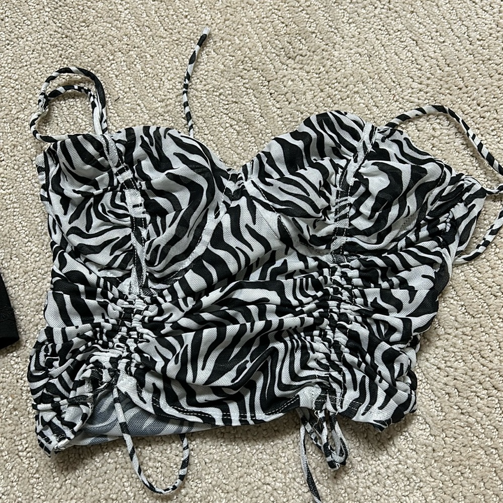 Zebra going out top
